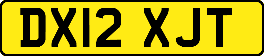 DX12XJT