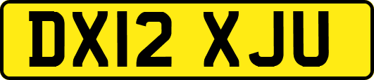 DX12XJU