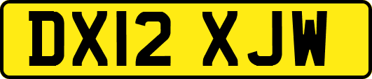 DX12XJW