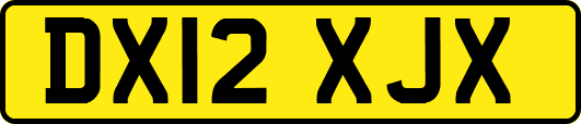 DX12XJX