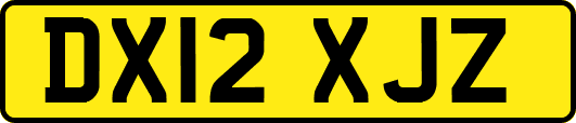 DX12XJZ