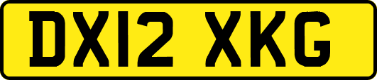 DX12XKG