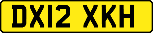 DX12XKH