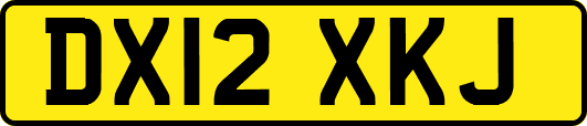 DX12XKJ