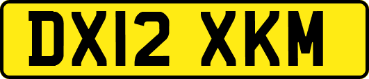 DX12XKM