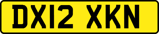 DX12XKN