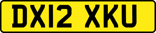 DX12XKU