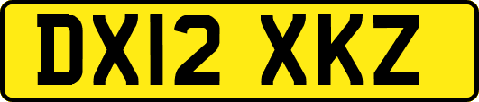 DX12XKZ