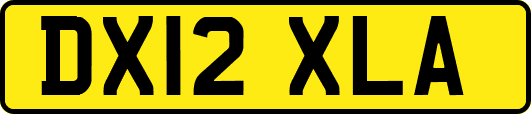 DX12XLA