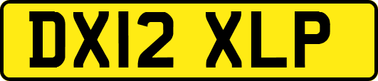 DX12XLP