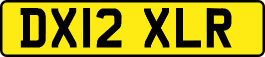 DX12XLR