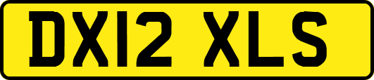 DX12XLS