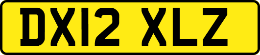 DX12XLZ
