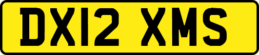 DX12XMS
