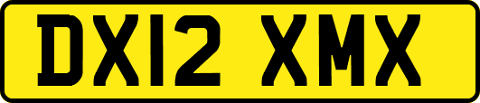DX12XMX