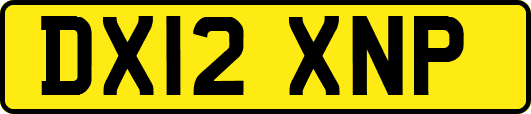 DX12XNP