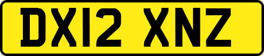 DX12XNZ