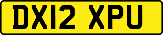 DX12XPU