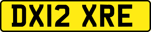 DX12XRE