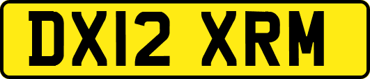 DX12XRM