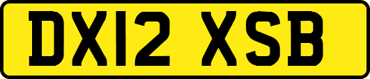 DX12XSB