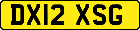 DX12XSG