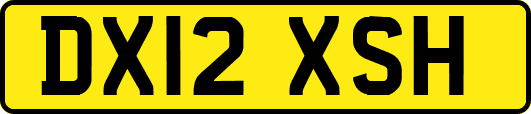 DX12XSH