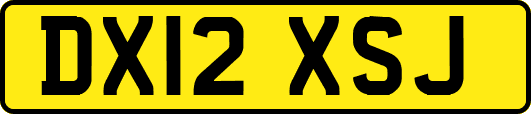DX12XSJ
