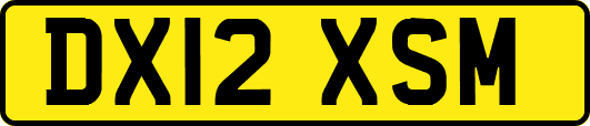 DX12XSM