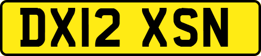 DX12XSN