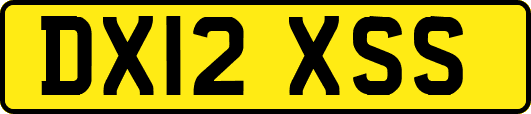 DX12XSS