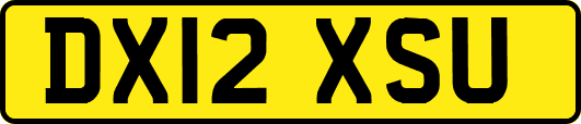 DX12XSU