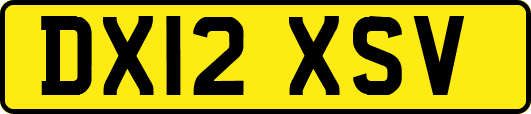 DX12XSV