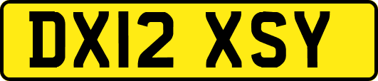DX12XSY