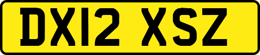 DX12XSZ