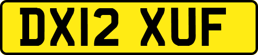 DX12XUF