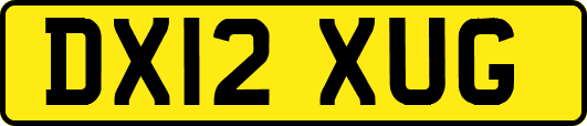DX12XUG