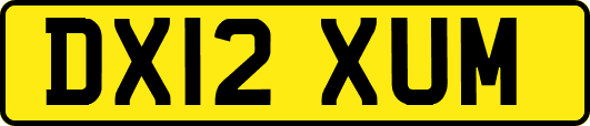 DX12XUM