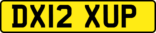 DX12XUP