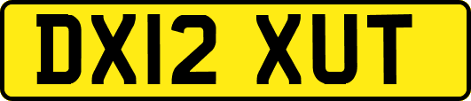 DX12XUT
