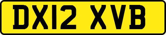 DX12XVB