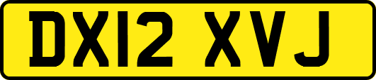 DX12XVJ