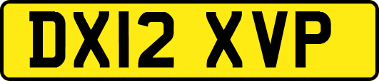 DX12XVP