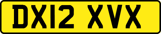 DX12XVX