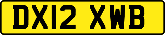 DX12XWB