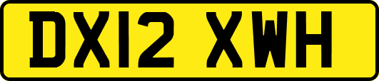 DX12XWH
