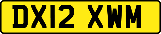 DX12XWM