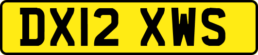 DX12XWS