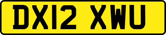 DX12XWU