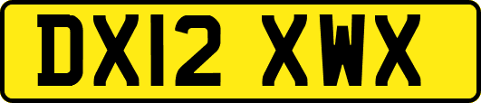 DX12XWX